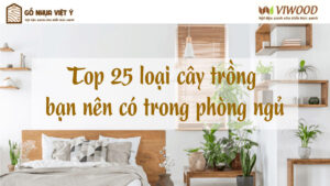 Cây trồng trong phòng ngủ