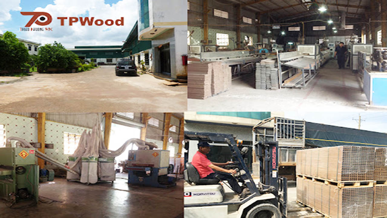 Triệu Phương Wood